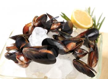 Raw mussels and lemon on ice
