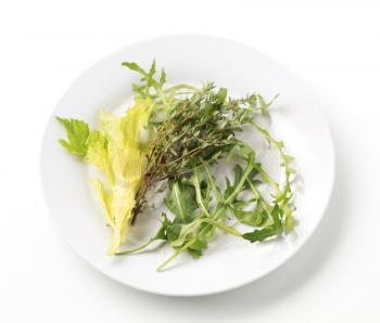 Sprigs of thyme and salad greens on a plate