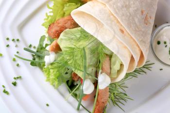 Vegetarian wrap sandwich with pieces of soy meat