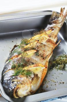 Oven baked trout stuffed with lemon and dill