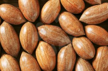 Fresh unshelled pecan nuts - detail