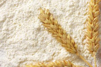 Background of wheat ears on bed of soft flour with copy space