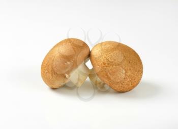 Two fresh Swiss Brown mushrooms
