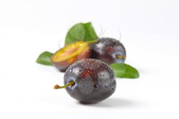 wet fresh plums with leaves