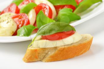 Mozzarela tomato canape and Caprese salad