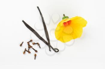 hibiscus flower and spices on white background