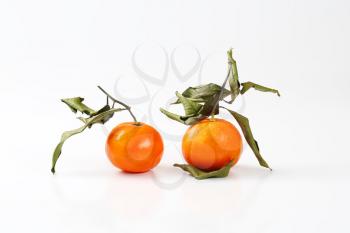 two fresh tangerines with dry leaves on white background