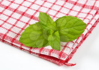 fresh mint leaves on checkered dishtowel