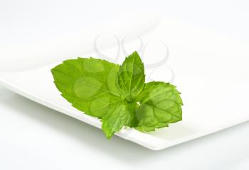 fresh mint leaves on white square plate