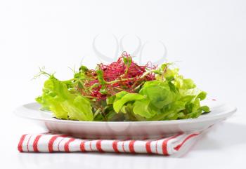 plate of green salad with pea and beetroot sprouts on striped dishtowel