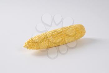 ripe corn cob on off-white background with shadows