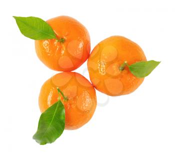 three tangerines with leaves on white background
