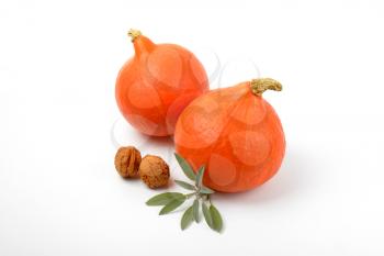 two orange pumpkins with walnuts and sprig of sage on white background