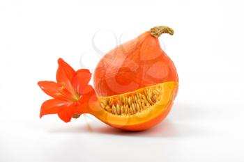 orange pumpkins and hibiscus flower on white background