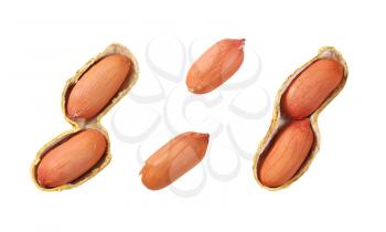peanuts in open shells and next to them on white background