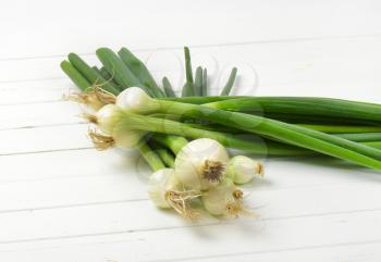 two bunches of spring onion on white wooden background