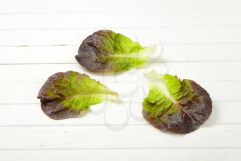 three leaves of fresh lettuce on white wooden background