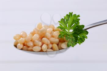 spoon of canned white beans on white wooden background