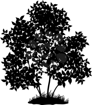 Lilac tree with leaves and grass, black silhouette on white background. Vector