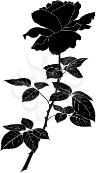 Flower rose, petals and leaves, black silhouette on white background. Vector