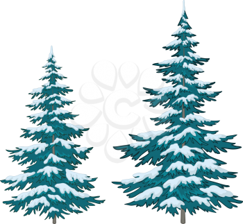 Vector, christmas trees under snow on a white background