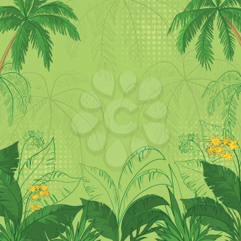 green flower background with tropical flowers, palm trees leaves and contours. Vector illustration