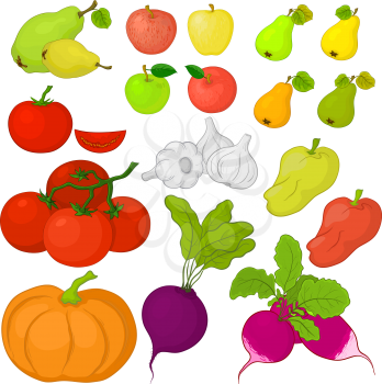 Set various vegetables and fruits on white background. Vector