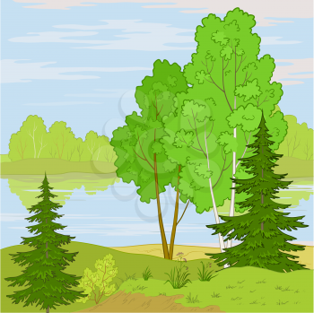Summer landscape, forest, river and the blue sky with white clouds. Vector