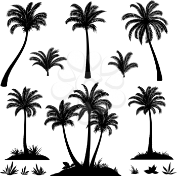 Set Palm Trees, Exotic Landscapes, Tropical Plants and Grass Black Silhouettes Isolated on White Background. Vector