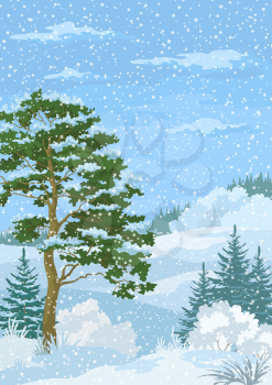 Winter Christmas Woodland Landscape with Pine and Fir Trees, Blue Sky with Snow and Clouds. Eps10, Contains Transparencies. Vector