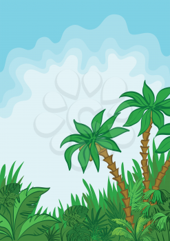 Exotic landscape, jungle, palm tree, plants and blue sky with white clouds. Vector