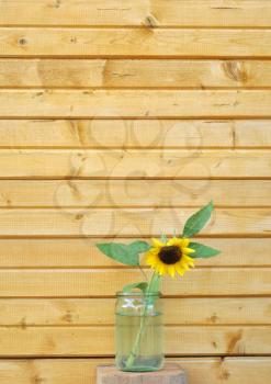 Decorative yellow sunflowers in a glass jar on the background of the wooden wall of the old village house