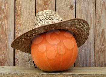 Pumpkin in a straw hat against wooden boards, photo by a Halloween