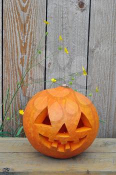 Symbol Halloween, a pumpkin ? Lantern on a bench against wooden boards