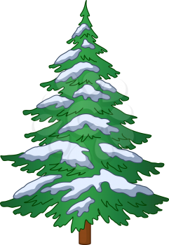 Christmas fir tree with snow, isolated on white background. Vector