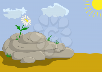 Lonely flower on a rock in desert look at the sun. Vector