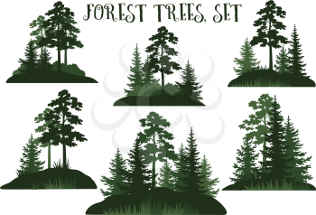Set Landscapes, Isolated on White Background Green Silhouettes Coniferous and Deciduous Trees and Grass. Vector.