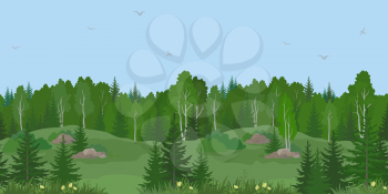 Seamless Horizontal Summer or Spring Landscape, Forest on Hills with Birches and Fir Trees, Flowers, Green Grass and Blue Sky with Birds. Vector