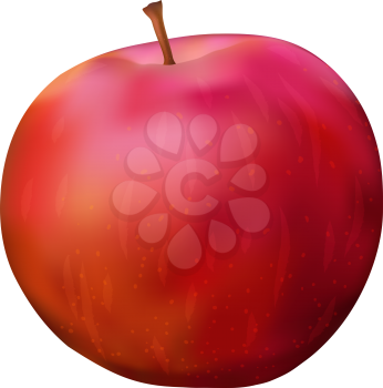 Apple red, summer fruit, isolated, vector eps10, contains transparencies