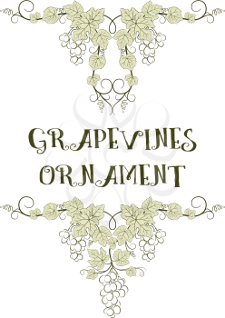 Plant Ornaments, Grape Vines with Berries and Leaves. Vector