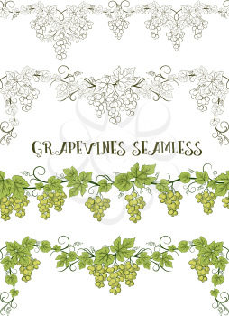 Horizontal Seamless Ornament, Grape Vines with Berries and Leaves, Color Green and Contour Pictogram Version. Vector