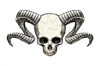 Human skull with ram horns drawn in sketh tattoo style isolated on white. Vector illustartion.