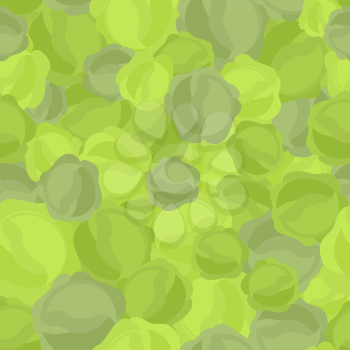 Green cabbage pattern. Seamless background with cabbage. Vector texture
