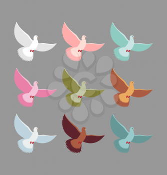 Color pigeons. Set of colorful flying birds. Dove Soars with wingspan.
