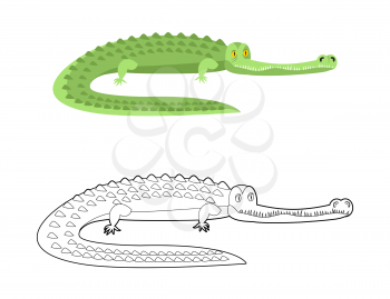 Crocodile Coloring book. Good caiman. Wild animal. Green reptile with large teeth. Alligator in linear style. Big water reptiles. Huge African predator. Tropical beast
