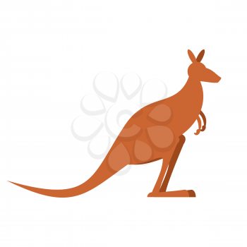Kangaroo isolated. wallaby on white background. Australian animal
