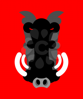 Angry boar warthog snout isolated. Head of wild aper
