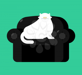 Fat white cat on Soft armchair. Thick Big pet on black chair
