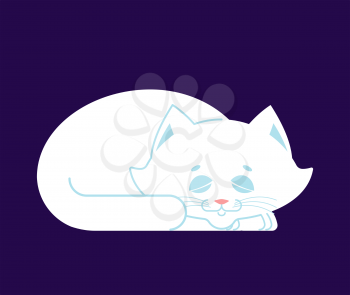 White Cat sleep. cute kitten is sitting. Pet
