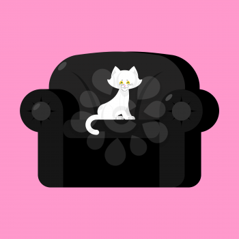 White cat on black armchair. Home pet on chair
